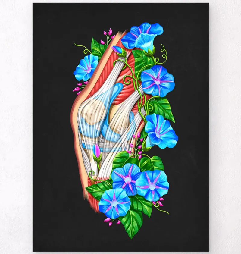 Codex Anatomicus Skull & Skeleton^Knee anatomy II - Floral - Black