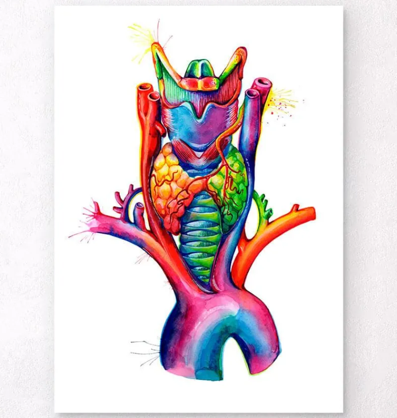 Codex Anatomicus Various Organs^Larynx, Thyroid and Aorta - Watercolor splash anatomy art