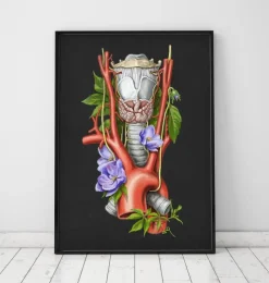Codex Anatomicus Various Organs^Larynx, Thyroid and Aorta - Watercolor - Black