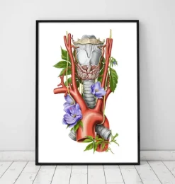 Codex Anatomicus Various Organs^Larynx, Thyroid and Aorta - Watercolor - White