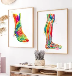 Codex Anatomicus Hands & Legs^Leg anatomy - Watercolor splash
