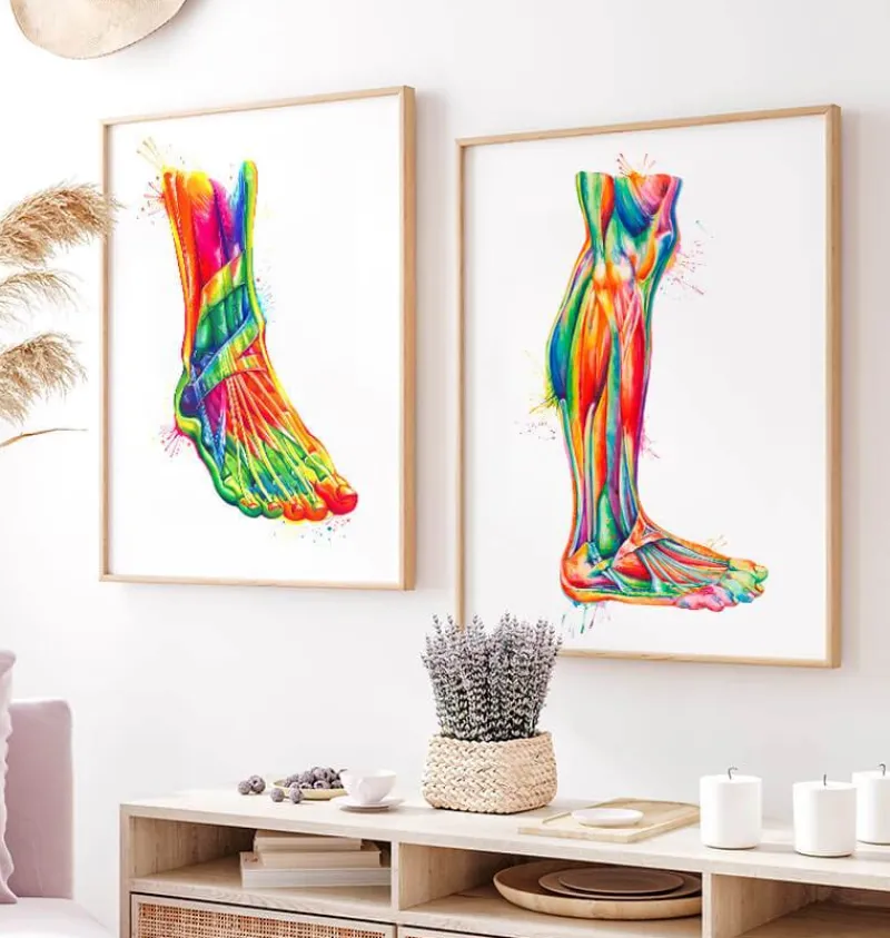 Codex Anatomicus Hands & Legs^Leg anatomy - Watercolor splash