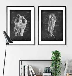 Codex Anatomicus Hands & Legs^Leg muscles anatomy - Chalkboard
