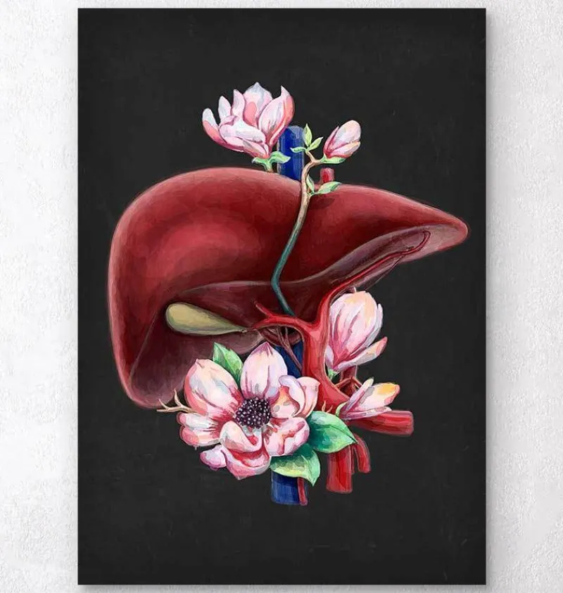 Codex Anatomicus Digestive System | Kidney & Liver^Liver anatomy - Floral - Black