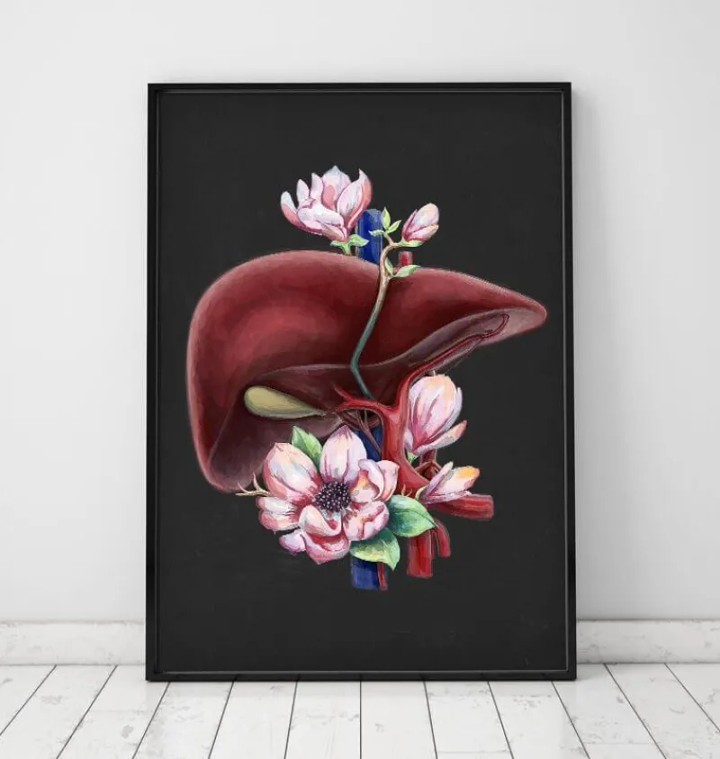 Codex Anatomicus Digestive System | Kidney & Liver^Liver anatomy - Floral - Black