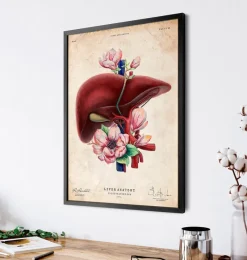 Codex Anatomicus Digestive System | Kidney & Liver^Liver anatomy - Floral - Vintage