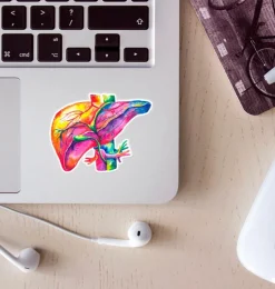 Codex Anatomicus Stickers^Liver anatomy sticker - Watercolor Splash