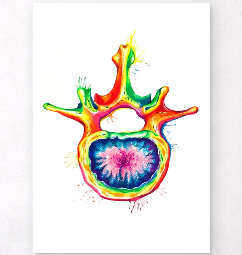 Codex Anatomicus Skull & Skeleton^Lumbar vertebra - Watercolor splash