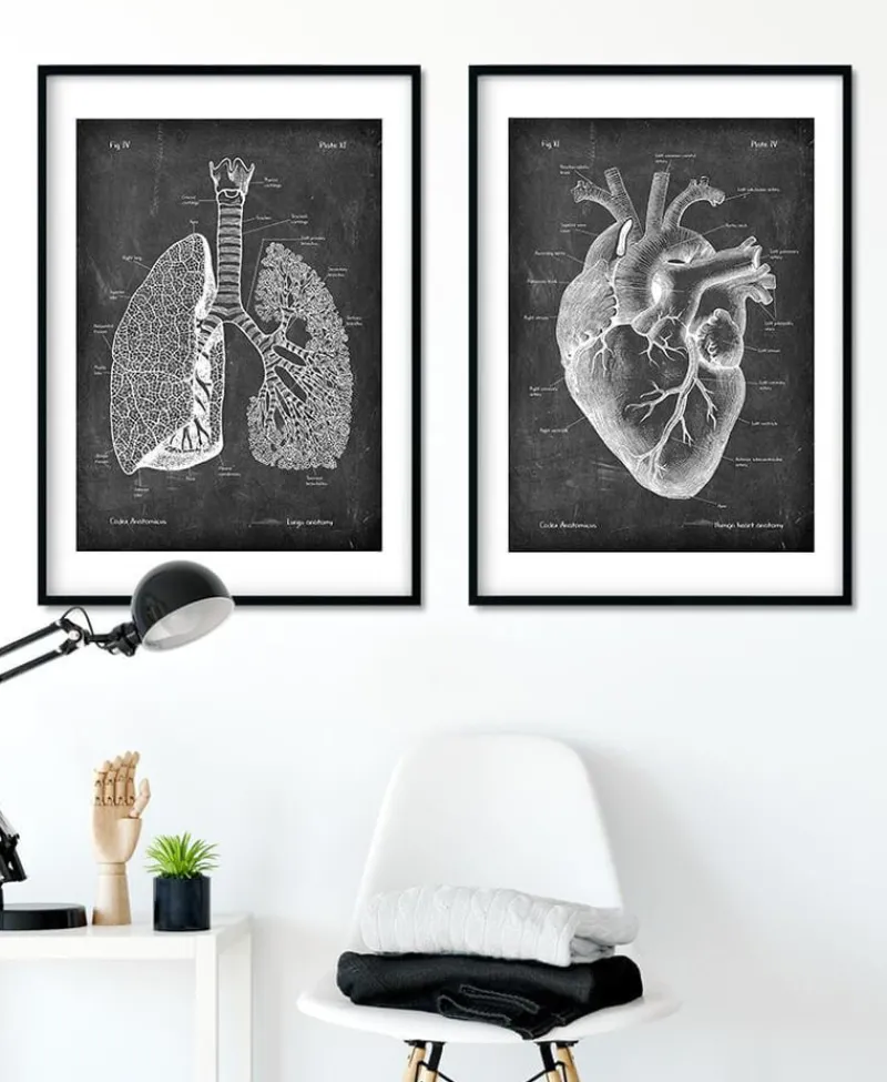 Codex Anatomicus Lungs Anatomy^Lungs anatomy - Chalkboard