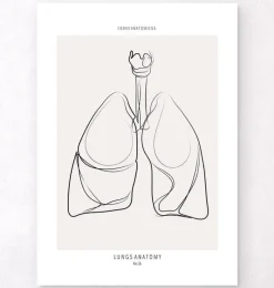 Codex Anatomicus Lungs Anatomy^Lungs anatomy - Line Art