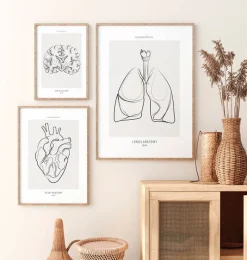 Codex Anatomicus Lungs Anatomy^Lungs anatomy - Line Art
