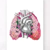 Codex Anatomicus Lungs Anatomy^Lungs anatomy II - Floral - White