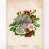 Codex Anatomicus Various Organs^Lymph node anatomy - Floral - Vintage