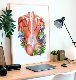 Codex Anatomicus Full Body Anatomy^Male back muscles - Floral - White