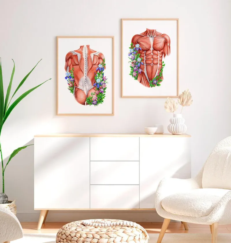Codex Anatomicus Full Body Anatomy^Male back muscles - Floral - White