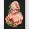 Codex Anatomicus Full Body Anatomy^Male body anatomy art - Black