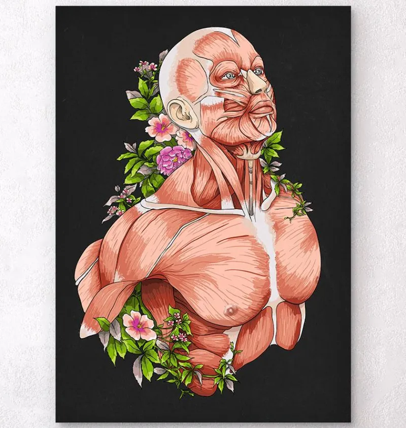 Codex Anatomicus Full Body Anatomy^Male body anatomy art - Black