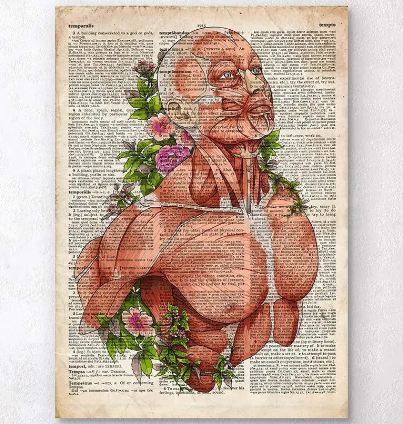 Codex Anatomicus Full Body Anatomy^Male body anatomy art - Old dictionary