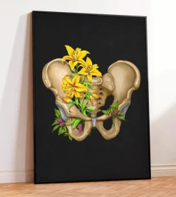 Codex Anatomicus Skull & Skeleton^Male pelvis anatomy - Floral - Black