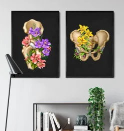 Codex Anatomicus Skull & Skeleton^Male pelvis anatomy - Floral - Black