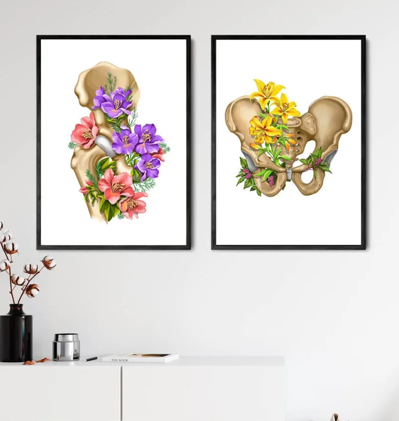 Codex Anatomicus Skull & Skeleton^Male pelvis anatomy - Floral - White