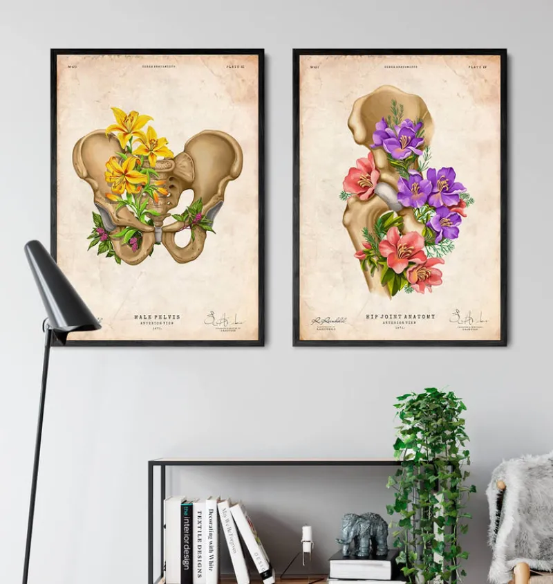 Codex Anatomicus Skull & Skeleton^Male pelvis anatomy - Floral - Vintage