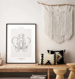 Codex Anatomicus Skull & Skeleton^Male Pelvis anatomy - Line Art