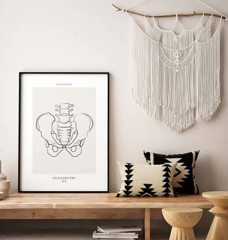Codex Anatomicus Skull & Skeleton^Male Pelvis anatomy - Line Art