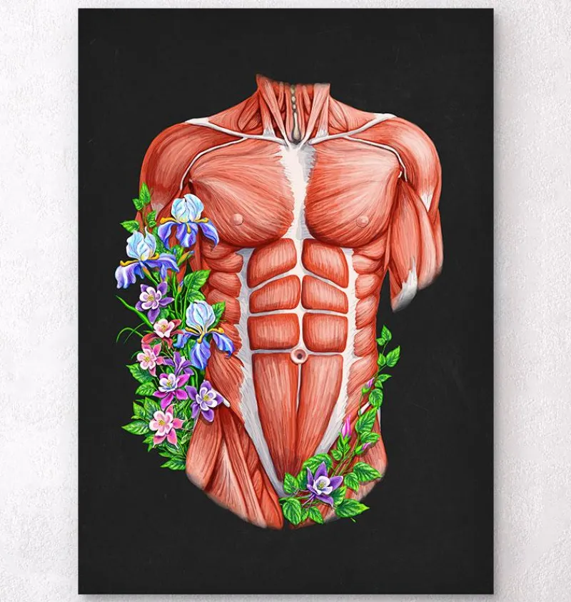 Codex Anatomicus Full Body Anatomy^Male torso muscles - Floral - Black