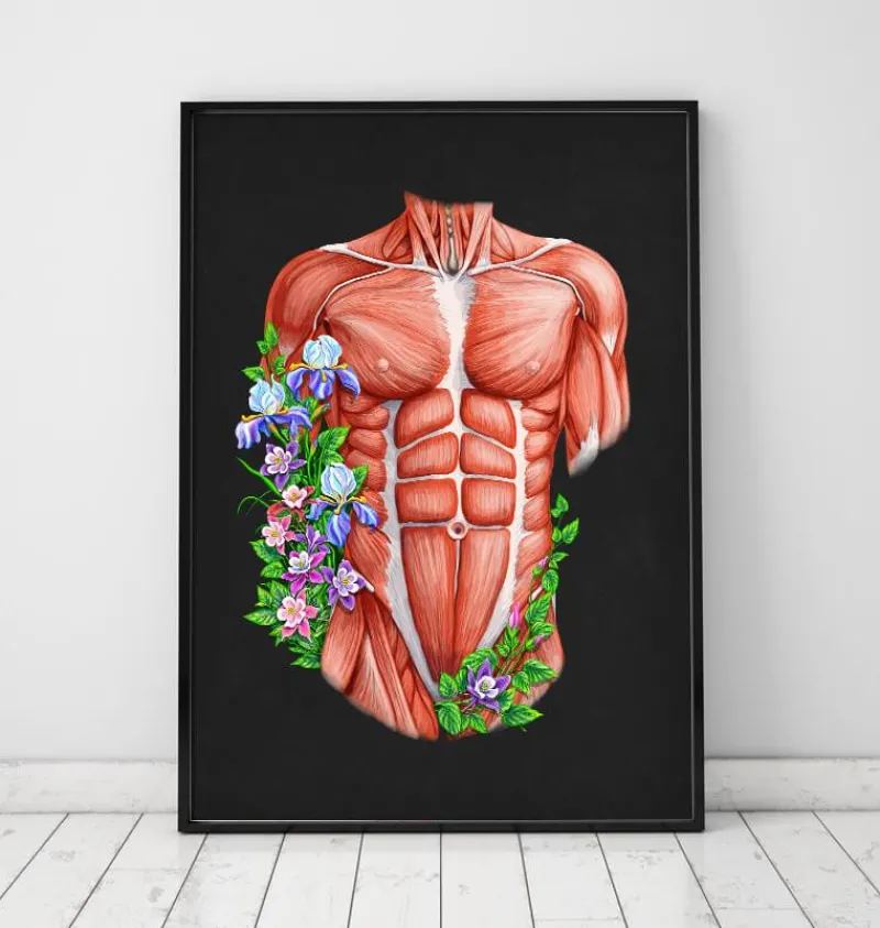 Codex Anatomicus Full Body Anatomy^Male torso muscles - Floral - Black