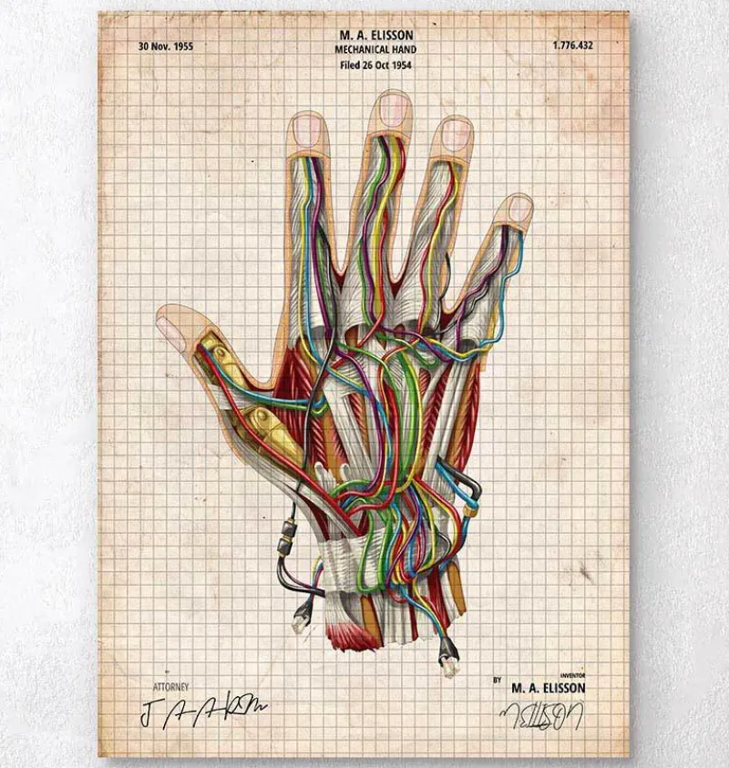 Codex Anatomicus Hands & Legs^Mechanical hand blueprint