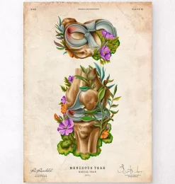 Codex Anatomicus Skull & Skeleton^Meniscus tear anatomy - Floral - Vintage