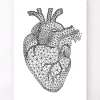 Codex Anatomicus Heart Anatomy^Minimal geometric heart