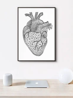 Codex Anatomicus Heart Anatomy^Minimal geometric heart