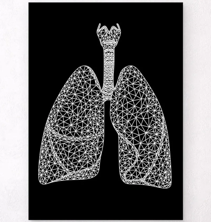 Codex Anatomicus Lungs Anatomy^Minimal geometric lungs - Black