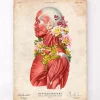 Codex Anatomicus Full Body Anatomy^Muscles side view - Floral - Vintage