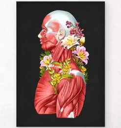 Codex Anatomicus Full Body Anatomy^Muscles side view - Floral - Black