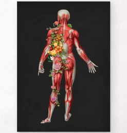 Codex Anatomicus Full Body Anatomy^Muscular system, back - Floral - Black