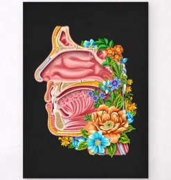 Codex Anatomicus Head & Face^Nasal cavity - Floral - Black