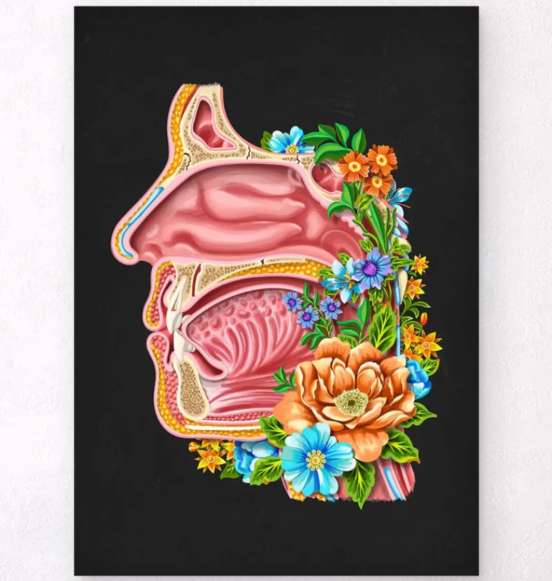 Codex Anatomicus Head & Face^Nasal cavity - Floral - Black