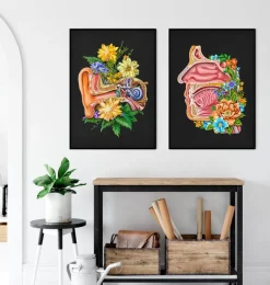 Codex Anatomicus Head & Face^Nasal cavity - Floral - Black