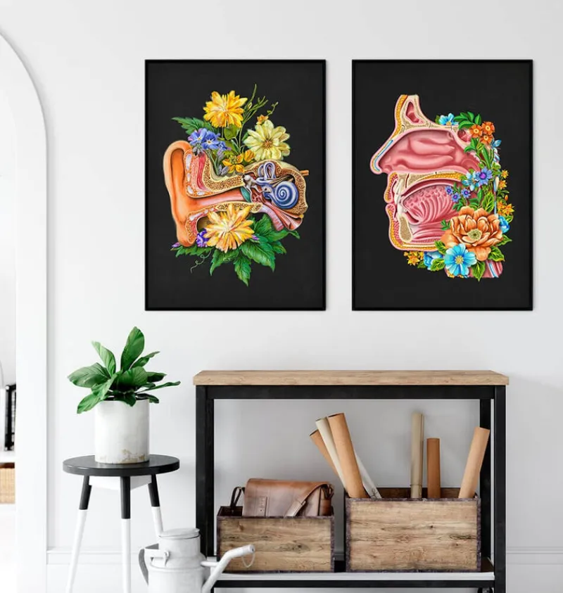 Codex Anatomicus Head & Face^Nasal cavity - Floral - Black