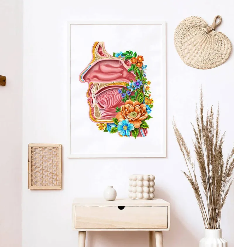 Codex Anatomicus Head & Face^Nasal cavity - Floral - White
