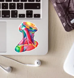 Codex Anatomicus Stickers^Neck anatomy sticker - Watercolor Splash