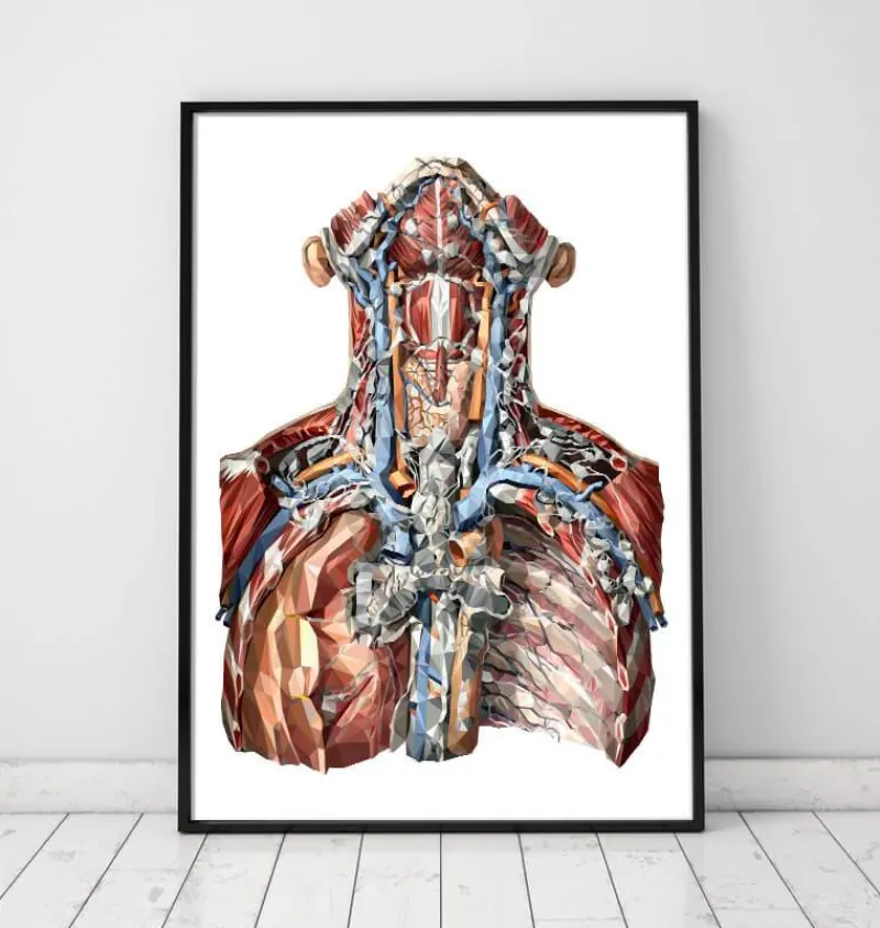 Codex Anatomicus Various Organs | Head & Face^Neck arteries and lymphatic system anatomy art
