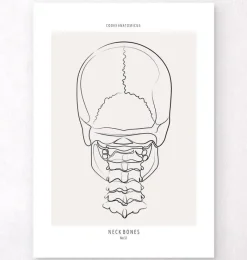 Codex Anatomicus Skull & Skeleton^Neck bones - Line Art