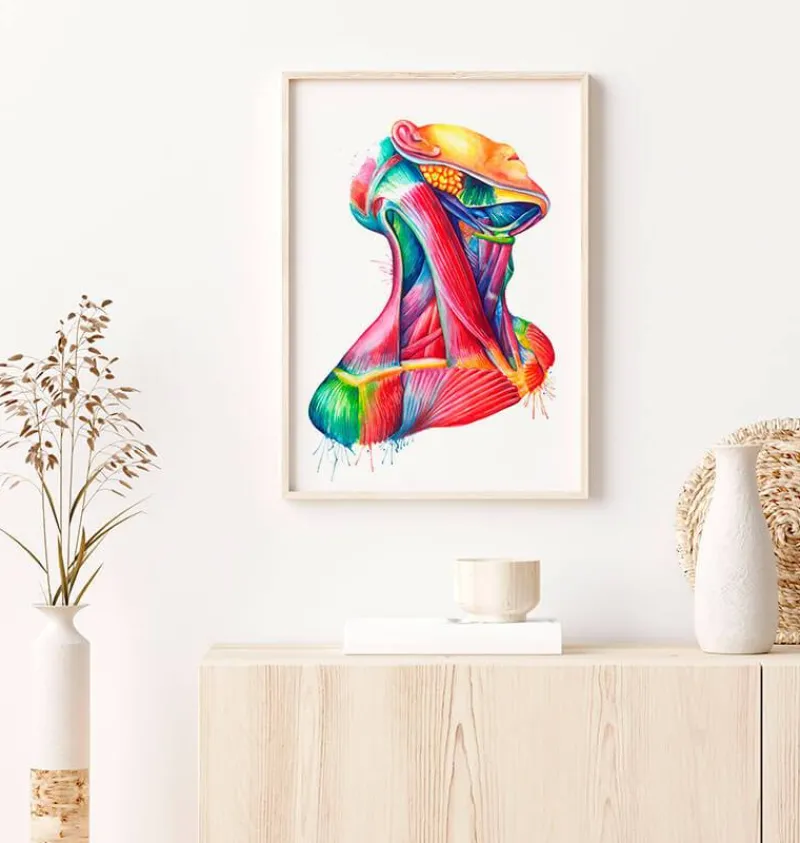 Codex Anatomicus Head & Face^Neck muscles anatomy art - Watercolor splash