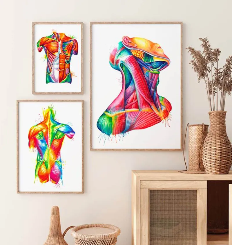 Codex Anatomicus Head & Face^Neck muscles anatomy art - Watercolor splash