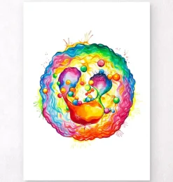 Codex Anatomicus Various Organs^Neutrophil - Watercolor splash