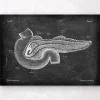 Codex Anatomicus Digestive System^Pancreas anatomy - Chalkboard